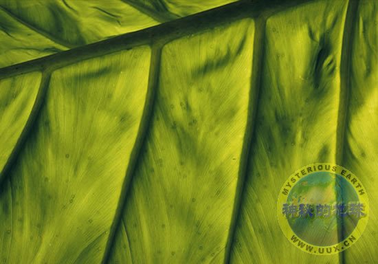 游仄易远晨播报:小岛秀妇将担背TGA颁奖佳宾 Team Secret斩获Dota2梦境联赛S8冠军