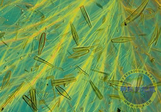 2021年安徽省出口家用电器325.1亿元，同比增长16.6%