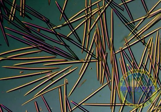 张艺谋新片《一秒钟》已过审 新晋谋女郎是00后新人