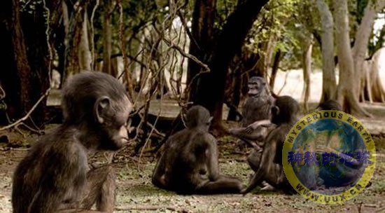 400万年前的人科动物化石 - 神秘的地球 科学|自