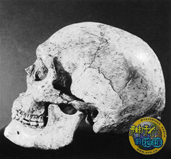 吴新智:中国现代人的祖先起源于本土 - 神秘的