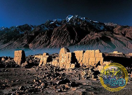 电视游戏在中国游戏市场销售收入中占到5.1%