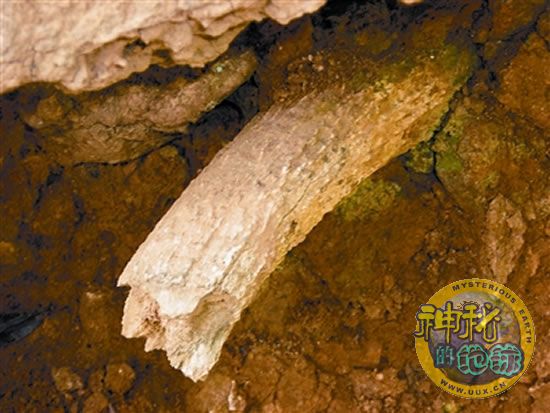 郧西县白龙洞发现古人类用火痕迹 - 神秘的地球