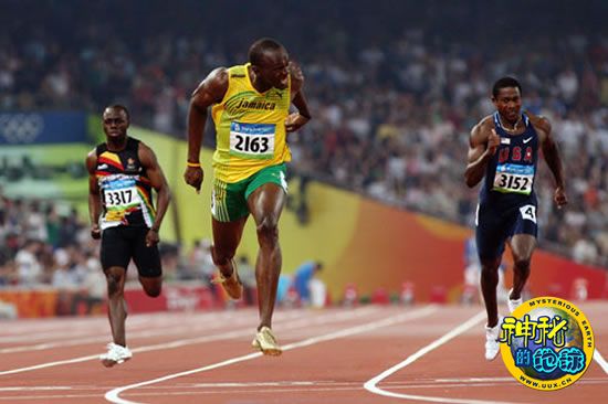 猎豹打破哺乳动物陆地奔跑速度的世界纪录 - 神