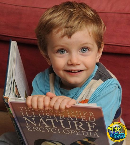 英国2岁 神童 智商超160 堪比爱因斯坦和霍金