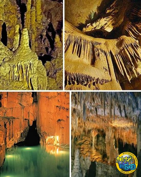 深夜谈天室：您以为哪款游戏能拿下TGA年度游戏大年夜奖？