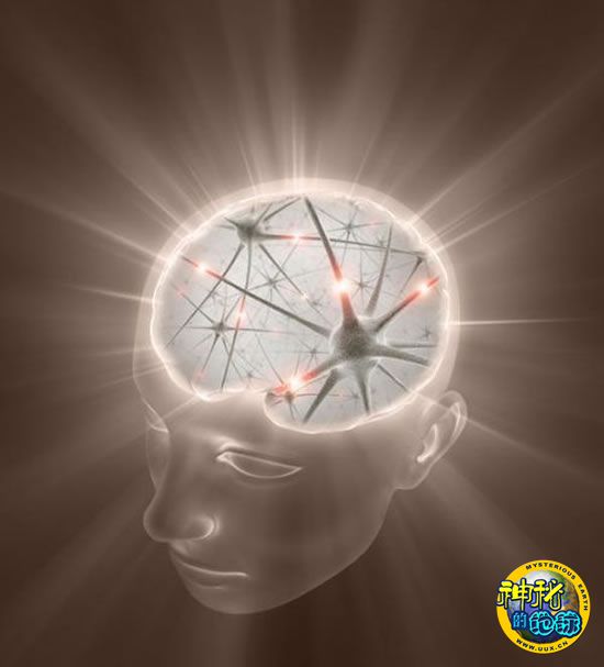 发现人类大脑中储存时间记忆的神经元细胞 -