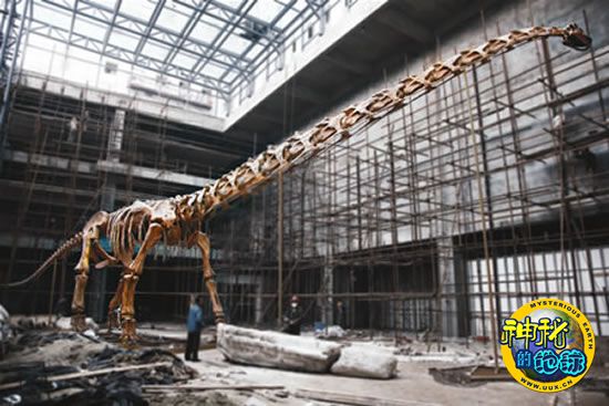 走进南京地质博物馆 - 神秘的地球 科学|自然|地