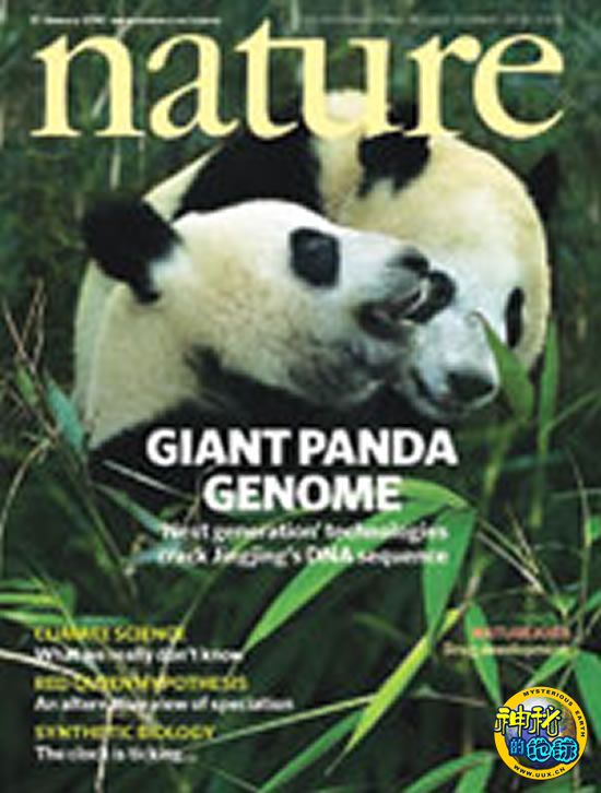自然》封面故事:大熊猫基因组测序和组装-+神
