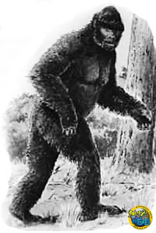 室内最有效的驱蚊方法