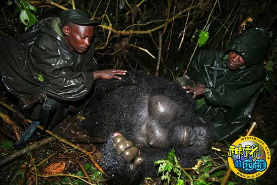 GamesCom 2013:典范游戏《闪回(Flashback)》下浑更逝世 最新演示放出