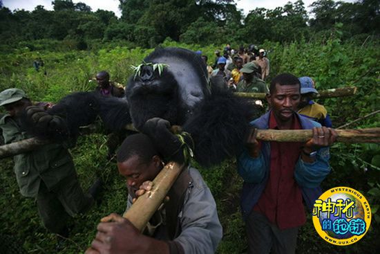 《邪术洞窟2》中文版本日上线!超低尾收扣头一起“喜+1”!