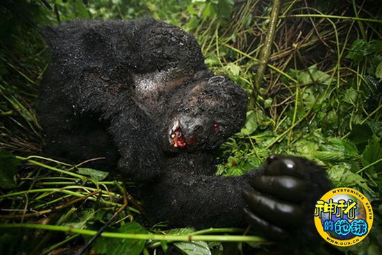 芜湖建设厨热智能家电产业园