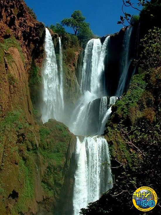 2016年女排奥运会