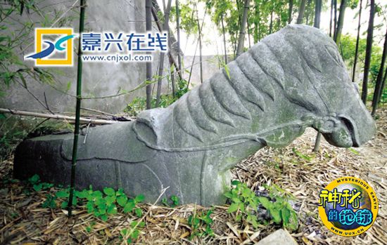 2015威僧斯电影节奖项掀晓大年夜热齐灭 《老炮女》表态