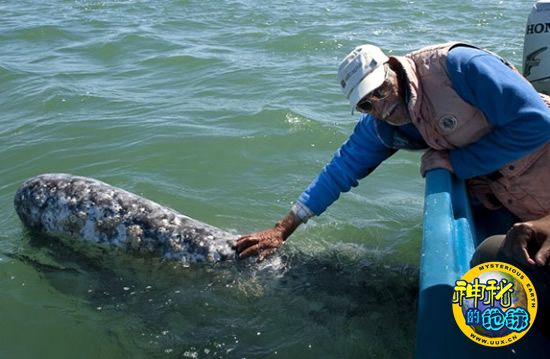 《战役机器5》妹子当配角 游戏天下最大年夜最斑斓