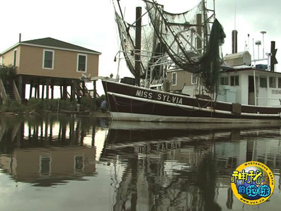 墨西哥湾漏油威胁美国 - 神秘的地球 科学|自然