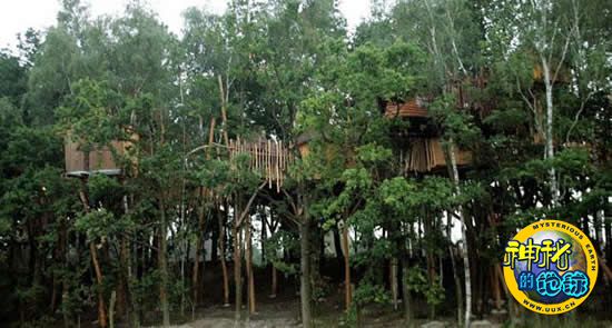 《女神同聞錄5》新島真足辦 賣價1495元、性感推風