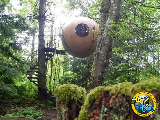 今年苹果WWDC看点整理 十二大亮点透析