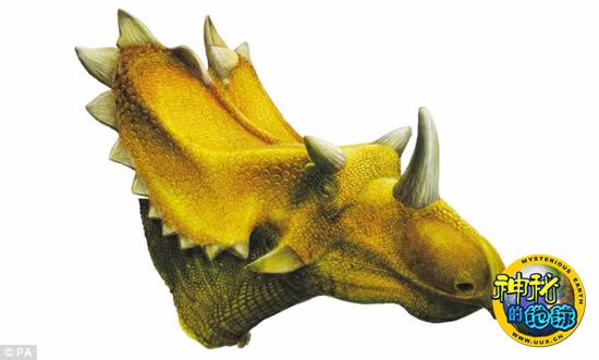 美国南犹他州发现两种三角龙近亲恐龙化石 - 神