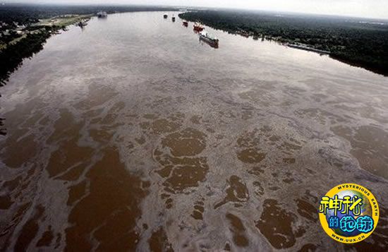 墨西哥湾漏油事件成为美国历史上最严重的海洋