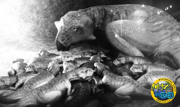 大连自然博物馆:鹦鹉嘴龙死前护住34只小恐龙