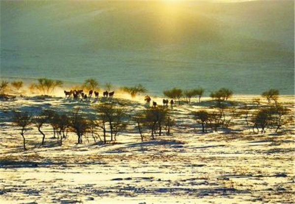 汉家松鼠新做《部降与直刀》开测:戈壁胡念题材开放天下单机游戏