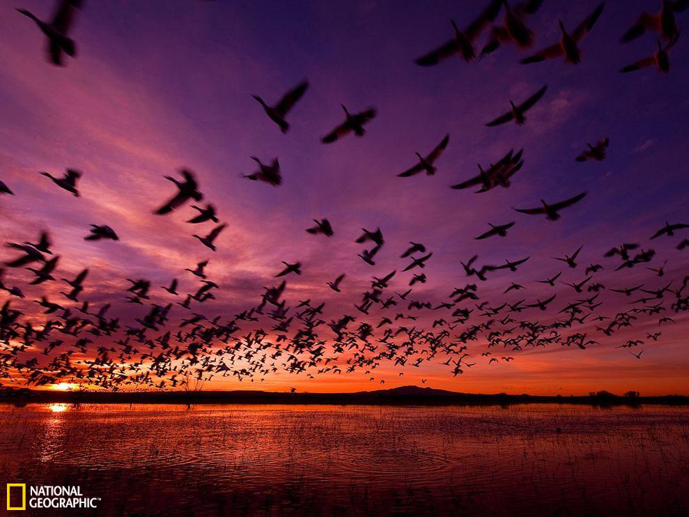 美国新墨西哥州巴斯克德尔阿帕奇国家野生动物