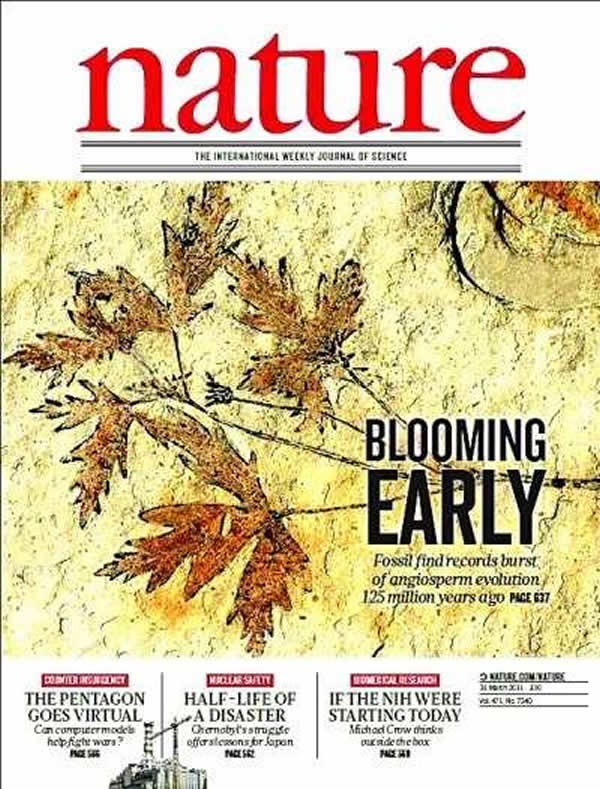 李氏果登上《自然》杂志封面 - 神秘的地球 科