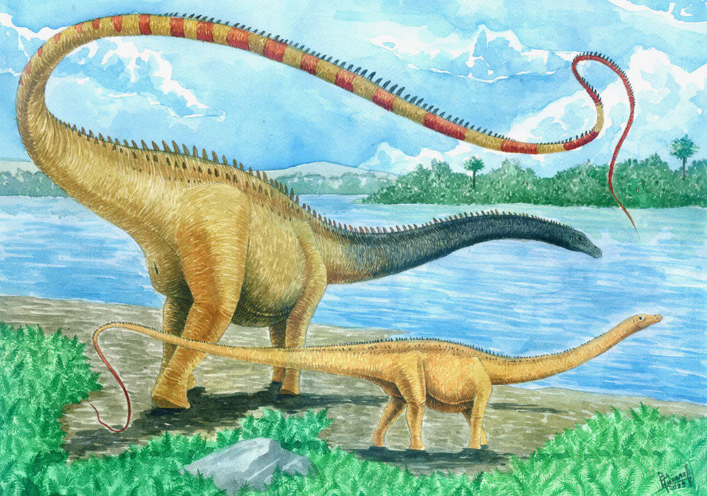 地震龙(+seismosaurus)复原图