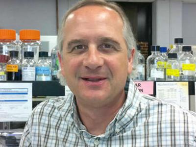 揭示四大虚假玛雅世界末日论预言 - 神秘的地