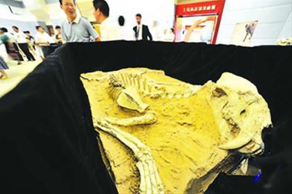 4d科普新片《剑齿王朝》在上海科技馆上映 - 神