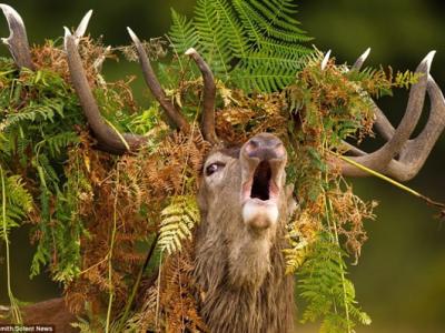 走进山顶洞人的文化心灵 - 神秘的地球 科学|自