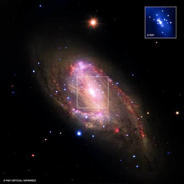 3000万光年外旋转星系ngc 3627中央可能存在