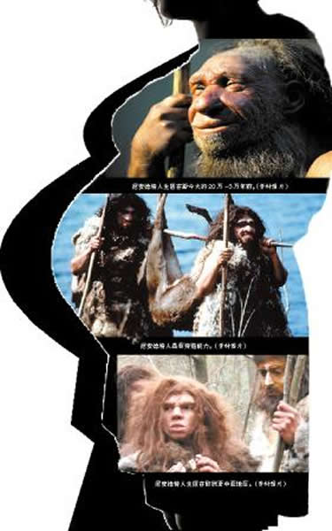 哈佛教授:让尼安德特人复活