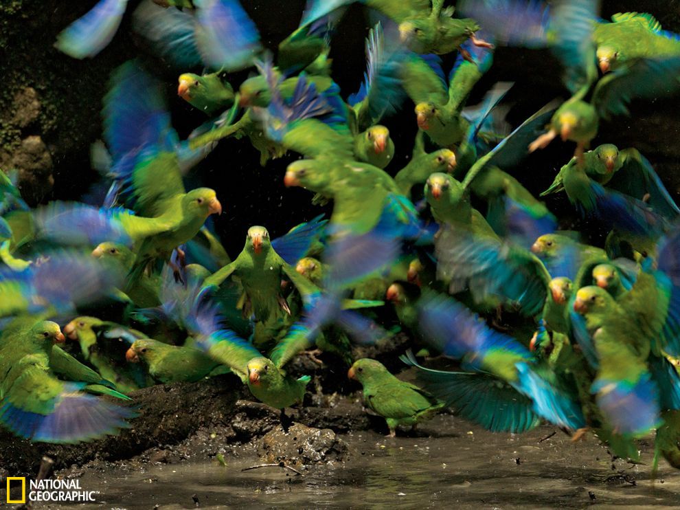 ��϶��������������