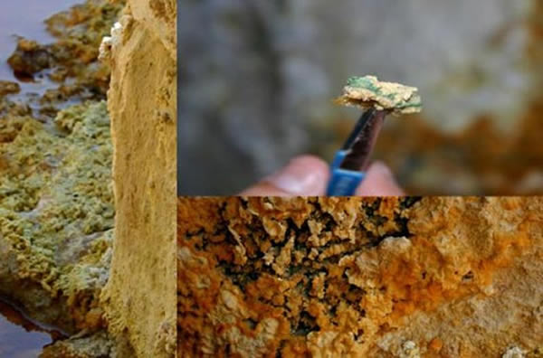 �γ�����salt-deposits�����ڱ��������ż������������������Ǻܺõ�������