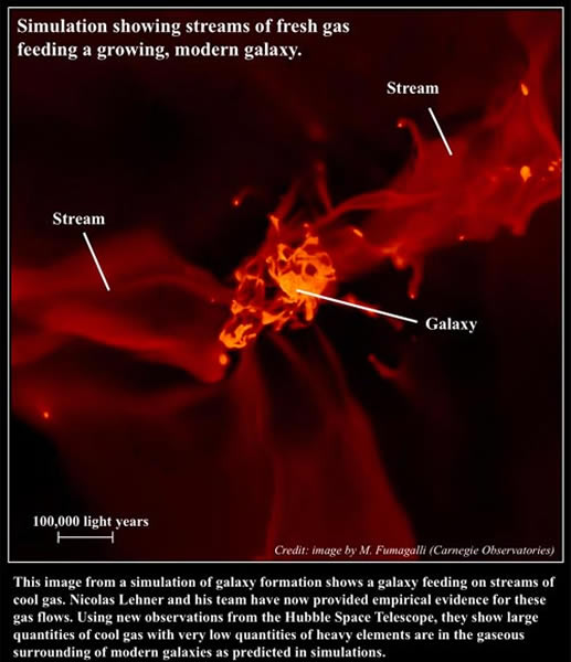 星系周围有大量的新鲜气体,供星系吸取。