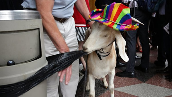 ��ͷɽ�����߳���Ժ��·𡰱��Բ��ġ�����ʼҧ��������