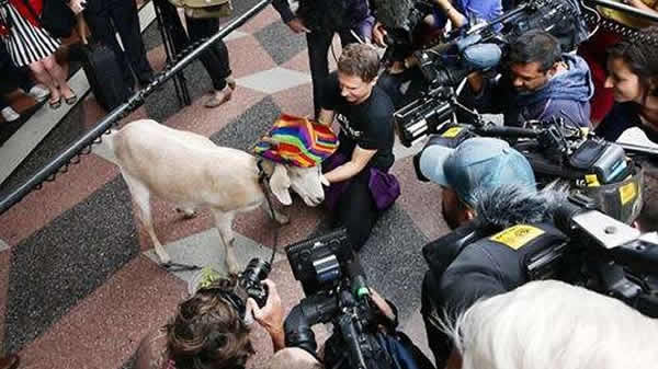 ��ͷɽ�������һ����Ժ����ý������Χס��