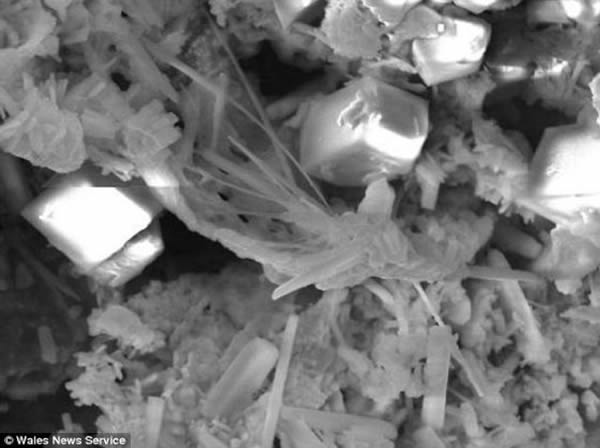 来自很远很远的地方:这块直径2英寸(5.08厘米)的陨石碎片是在距离斯里兰卡波隆纳鲁沃城几英里的一个小村庄附近发现的