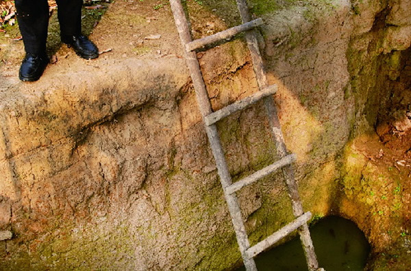永康湖西遗址发现9000年前驯化水稻的有力物证:小穗梗