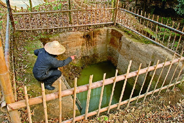 永康湖西遗址发现9000年前驯化水稻的有力物证:小穗梗