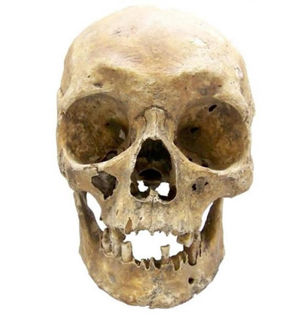 ��ѧ��ͨ������һ��1943��ȥ���Ĳ��������ݵ�DNA��ȷ֤����������ɫ���۾����ɫ��ͷ����