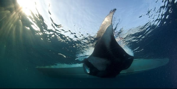 ������������������