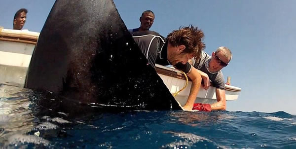 ������������������