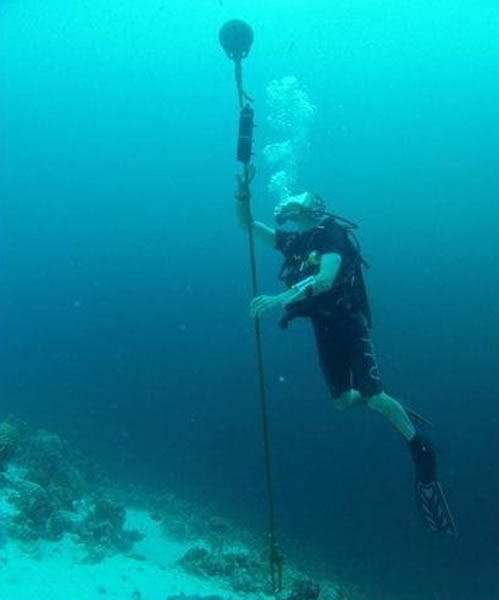 ������������������