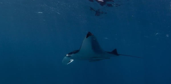 ������������������