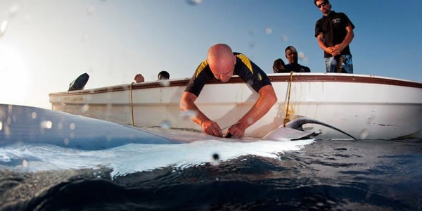 ������������������