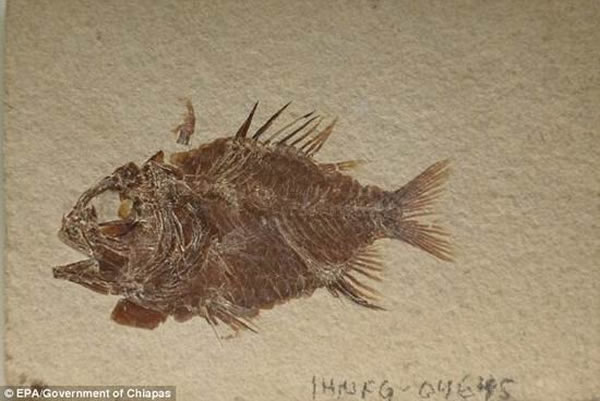 Pepemkay Maya�Ļ�ʯ